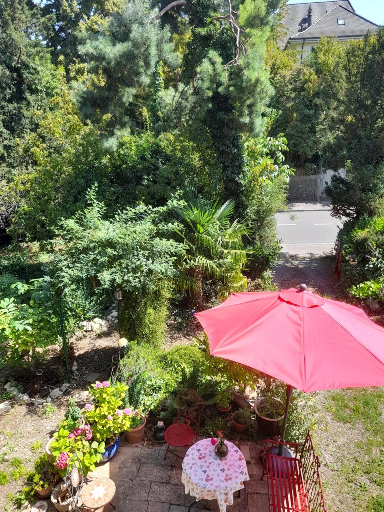 B&B am Park Rheinfelden Bagian luar foto