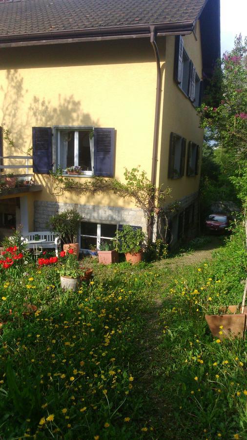 B&B am Park Rheinfelden Bagian luar foto