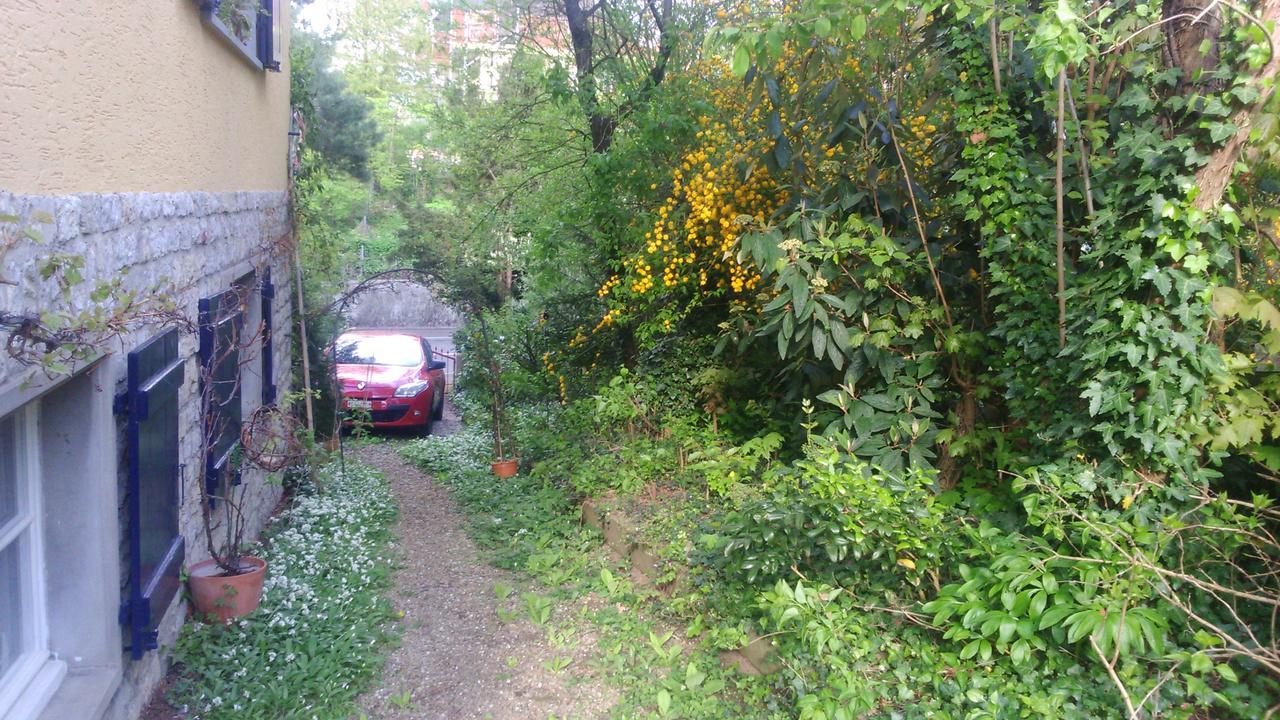 B&B am Park Rheinfelden Bagian luar foto