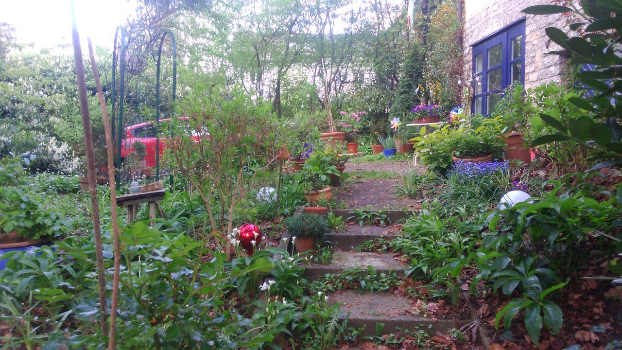 B&B am Park Rheinfelden Bagian luar foto