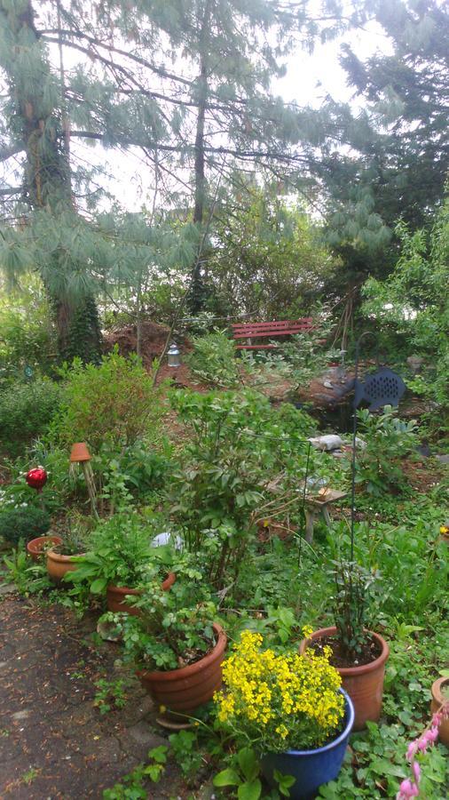 B&B am Park Rheinfelden Bagian luar foto